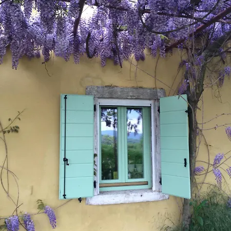 Casa vacanze Bellevue Vižinada