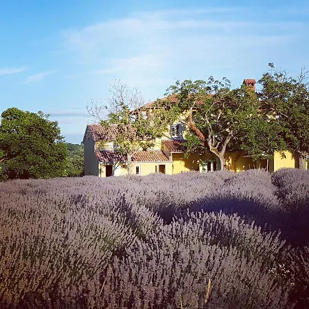 Casa vacanze Bellevue